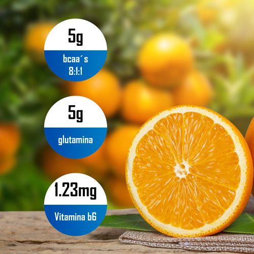 Bcaa´s + Glutamina 8:1:1 FXPRO SERIES 500 gr - Naranja - Imagen 2